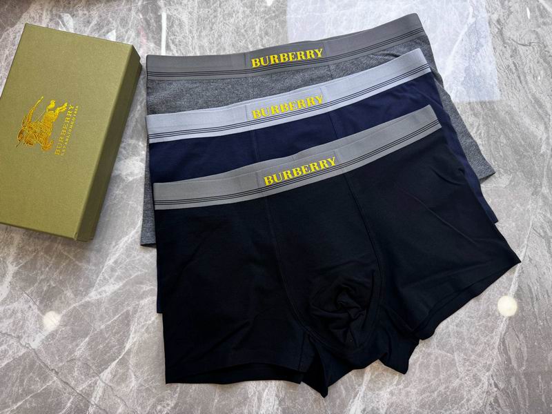 Burberry boxer L-4XL 110204